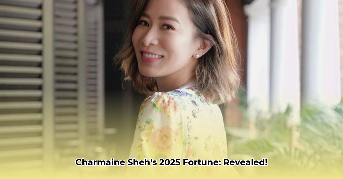 charmaine-sheh-net-worth